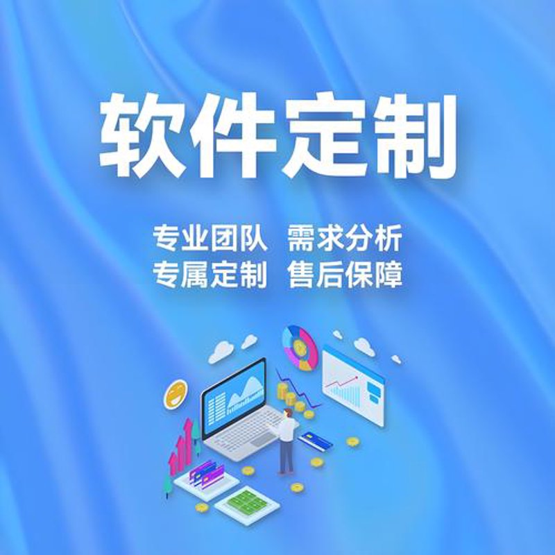 广东软件定制
